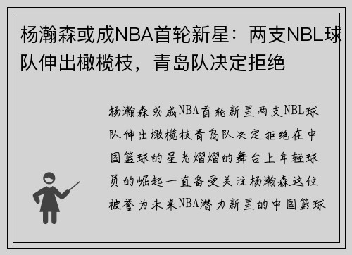 杨瀚森或成NBA首轮新星:两支NBL球队伸出橄榄枝,青岛队决定拒绝